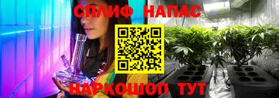 индика Балашиха