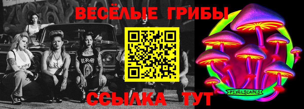 Гулькевичи  Галлюциногенные грибы ЛСД  Вход с VPN 